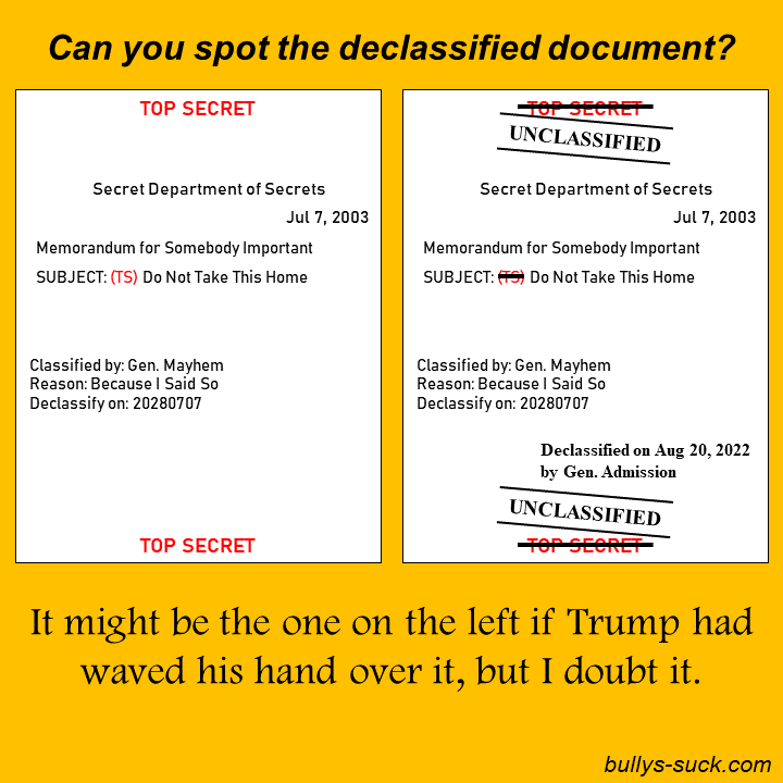 Can you spot the declassifed document?
