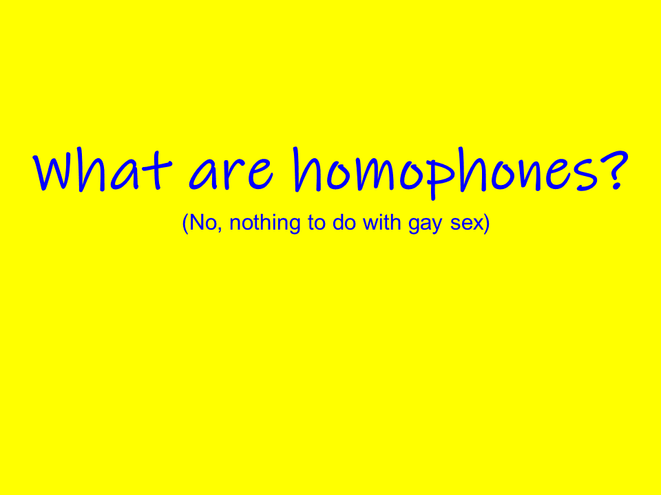What are homophones?