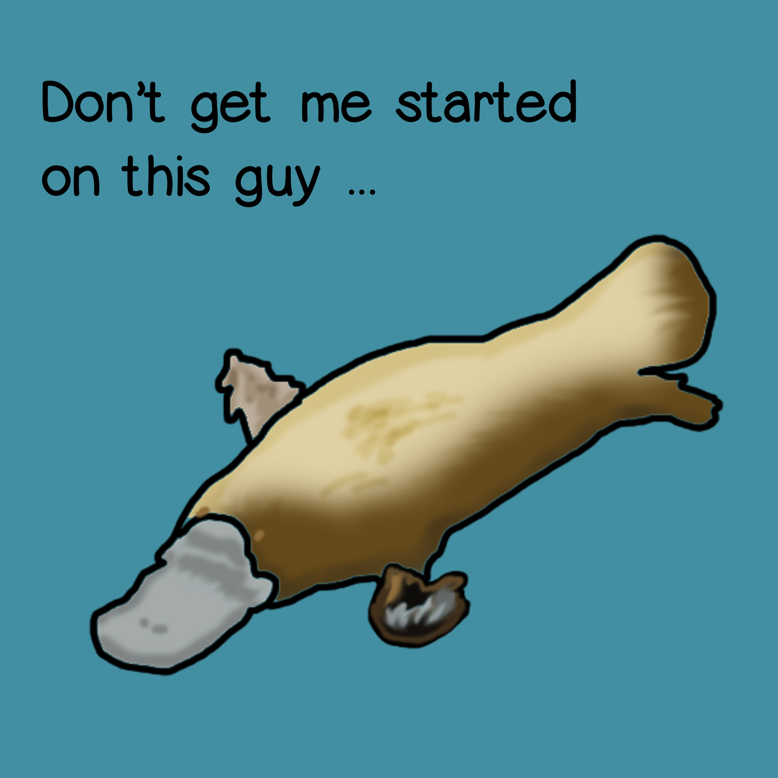 Don't even get me started on this guy ... (platypus)