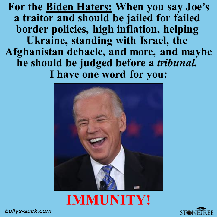 Biden has immunity for everything he's done in office